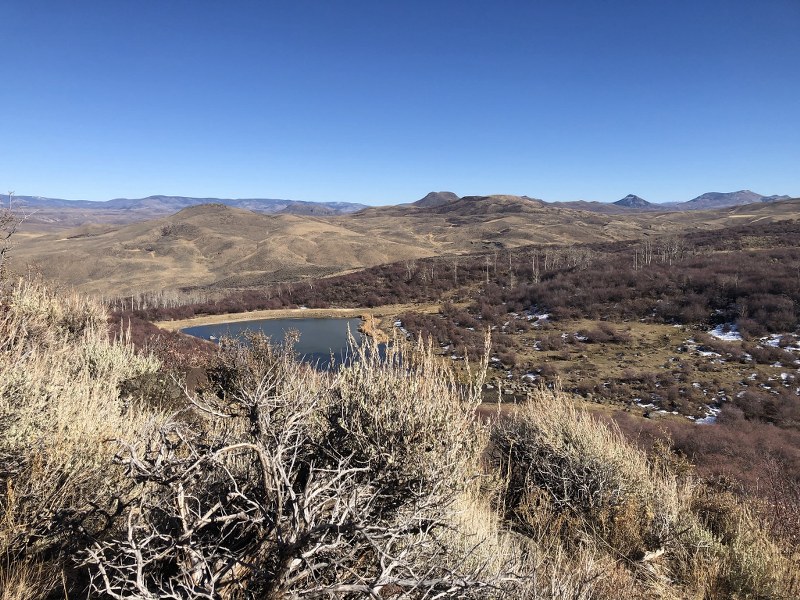 Colorado Hunting